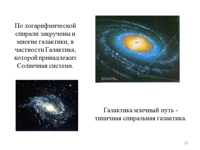 29 По логарифмической спирали закручены и многие галактики, в частности Галактика, которой принадлежит Солнечная